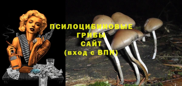 стафф Ростов