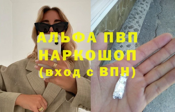 индика Балахна