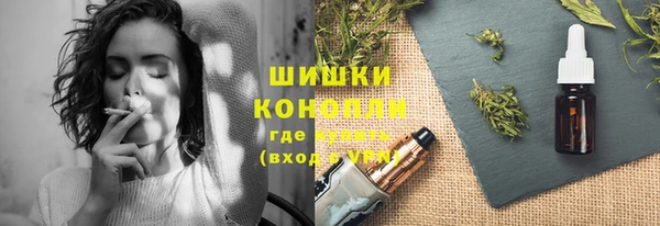 индика Балахна
