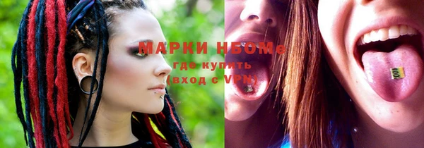 стафф Ростов
