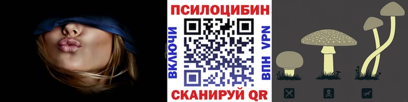 Псилоцибиновые грибы Psilocybe  Плавск 